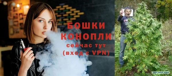 сатива Каменск-Шахтинский