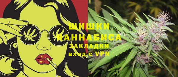 сатива Каменск-Шахтинский
