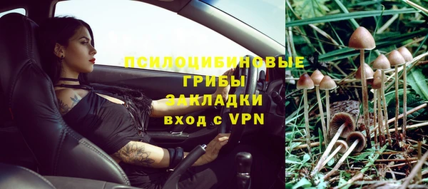 сатива Каменск-Шахтинский