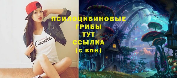 сатива Каменск-Шахтинский
