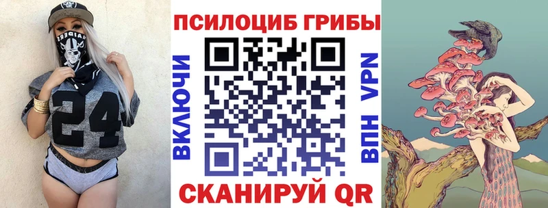 Купить Верхний Тагил Псилоцибиновые грибы GOLDEN TEACHER